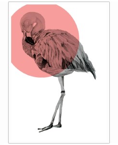 Flamingo-Morgan-Kendall-Art-Print-31